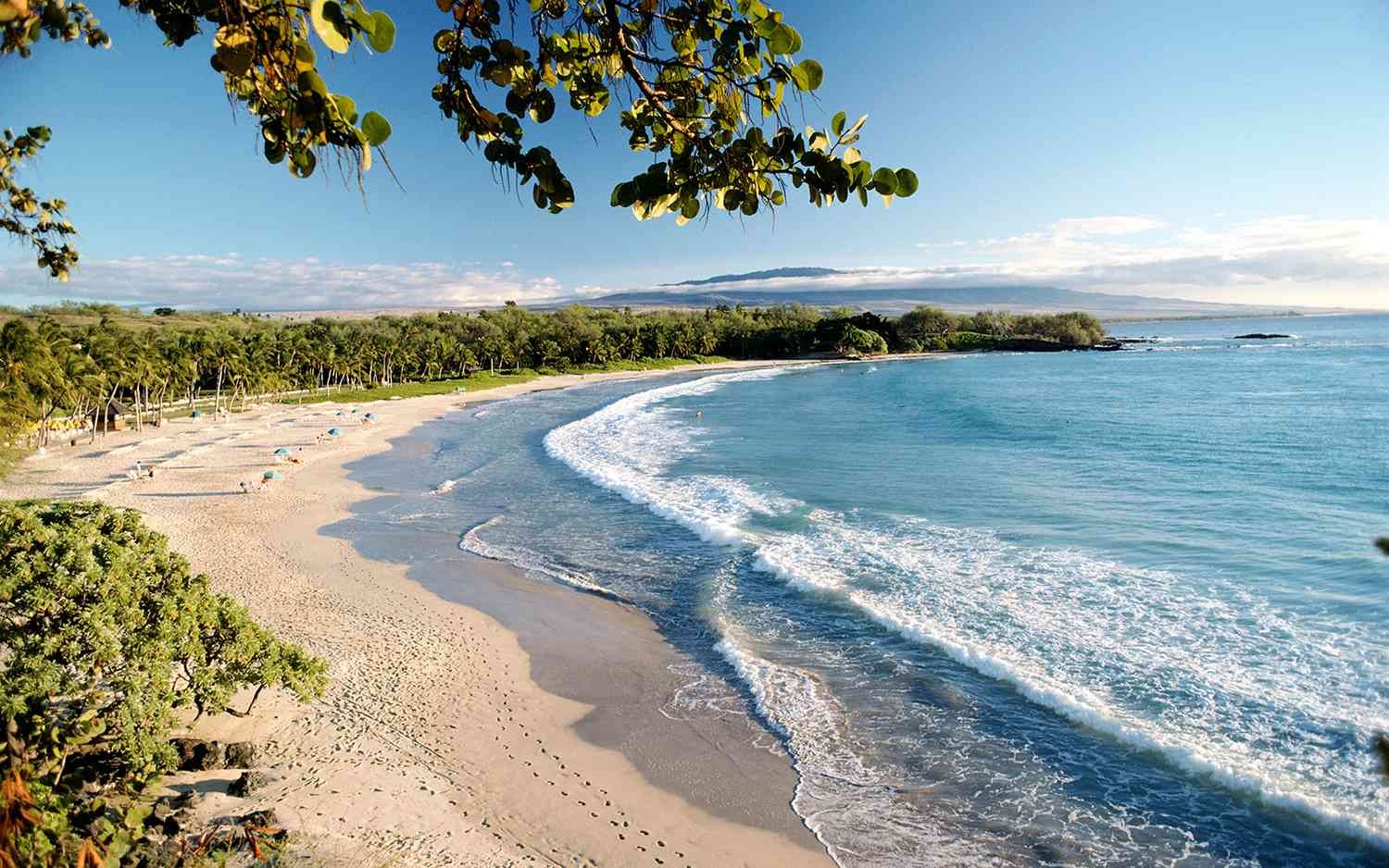 hawaiian beach.jpg